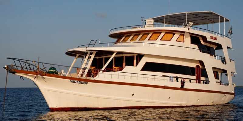 0013_MY_Sheena_u.Kefrig_schmal-800x400 0013_MY_Sheena_u.Kefrig_schmal-800x400