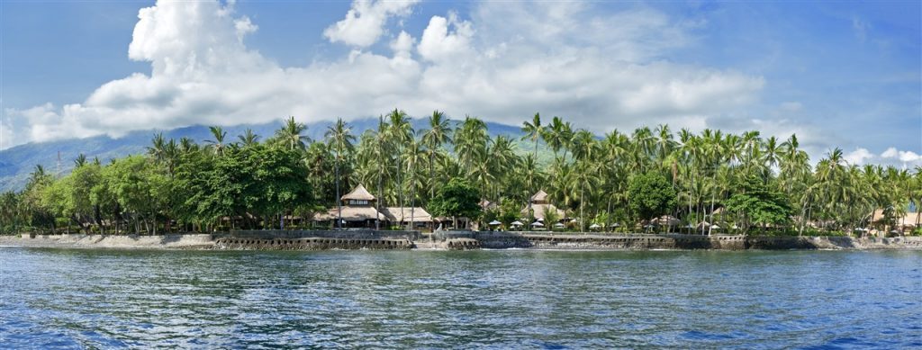 new000051_alamanda-1024x389